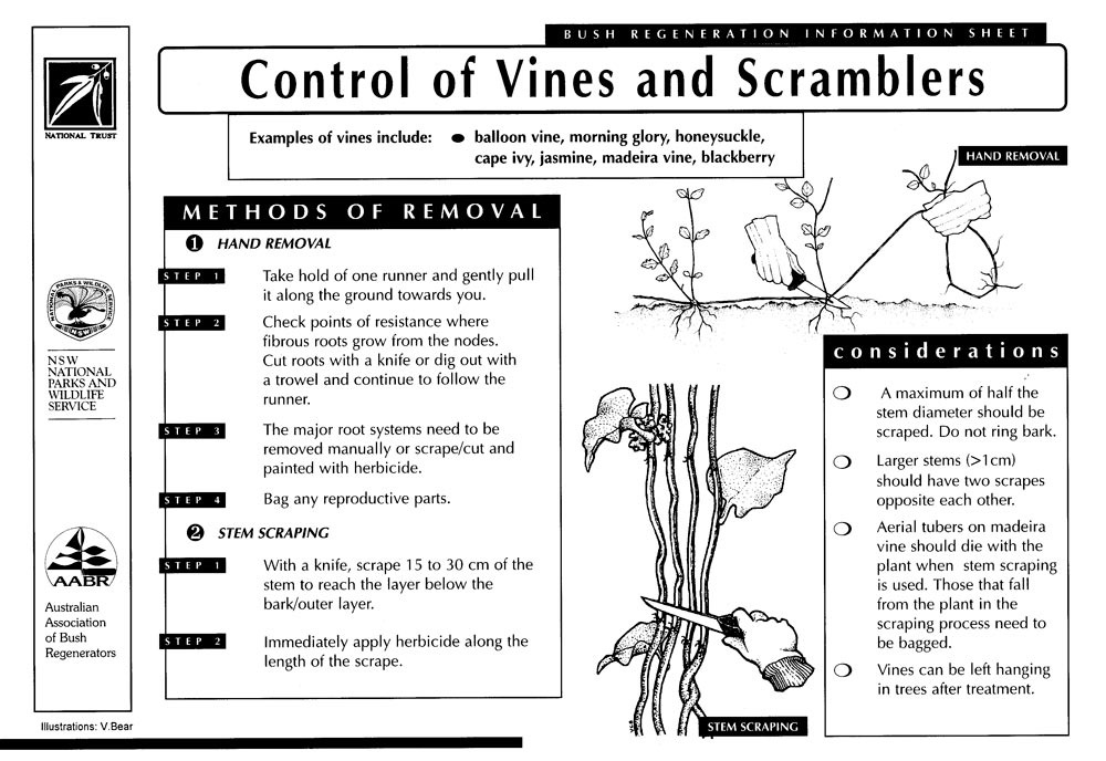Instructions on controlling vines and scramblers