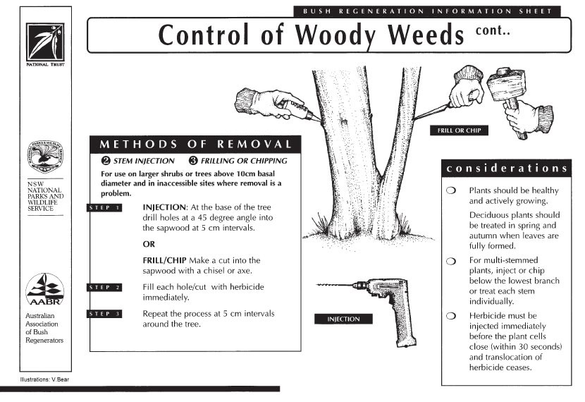 Instructions on controlling woody weeds