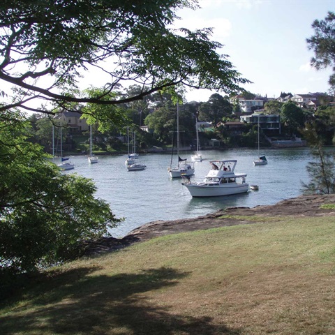 view from a park looking over the river with boats