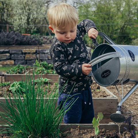 Boy using watering can on garden