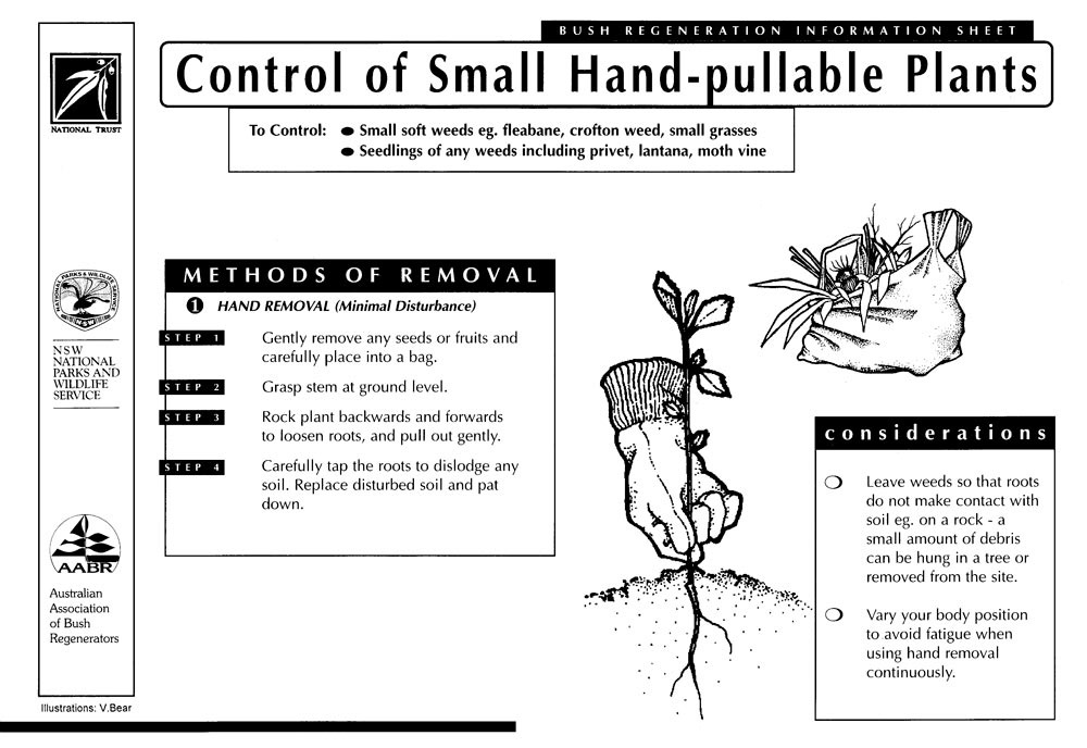 Instructions on how to control small hand-pullable plants