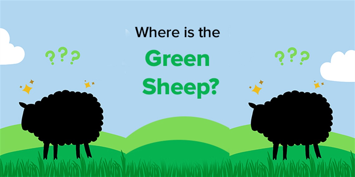 Where is Green Sheep