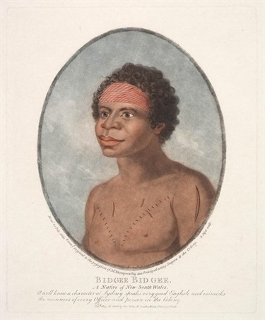 Bidgee Bidgee, brother-in-law of Bennelong. He was a Burramattagal later described as ‘chief’ of the Kissing Point Tribe’. Bidgee Bidgee. A Native of New South Wales, c1803, Nicolas-Martin Petit, Mitchell Library SLNSW