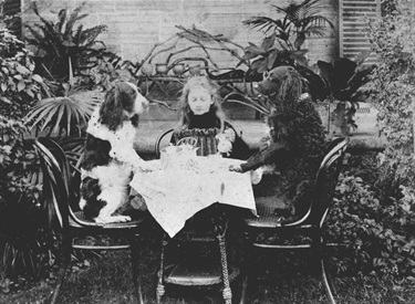 Sarah Kate (Kitty) Barton and the family dogs.  Here they are having afternoon tea at Nyrangie, Linsley Street, Gladesville around 1900. Kitty Barton’s father was Henry Francis Barton, the Master in Lunacy at the Gladesville Asylum. Ryde Library Service. Acc. 5485576. Barton family / 5