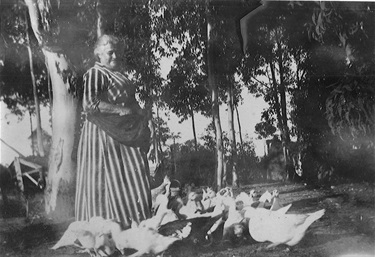 Mrs Jane Eliza Beauchamp (nee Holdsworth).  Mrs Beauchamp feeds her ducks in the backyard of 42 Delange Road, Putney c.1928. Ryde Library Service. Acc. 557952A. Beauchamp family / 1