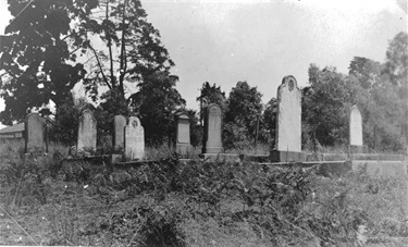 Baptist Cemetery, Lane Cove Road, Ryde around 1945, in the vicinity of Myra Avenue and Dobson Crescent. Along with the Catholics and the Anglicans, the Baptists had their own burial ground in Ryde. St Charles and St Anne’s cemeteries were officially closed at the end of the 19th century, but this Baptist Cemetery continued for many more decades as no provision had been made for Baptist burials at the Field of Mars Cemetery. Ryde Library Service. Acc. 5075556. Baptist Church / 2.