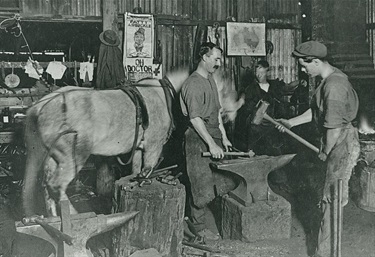 Interior of Chick’s smithy, Rowe Street, Eastwood, 1910-1914. The railway brought a school, post office and a hotel to Eastwood in the 1880s but the development of a more substantial commercial centre had to wait for the beginning of the subdivision of Edward Terry’s estate in 1905. Walter Chick, farrier (a smith who shoes horses), coachbuilder and agricultural implement maker was one of the first to take advantage of the sub-division by moving his business from Ermington around 1906. In this photo Walter Chick stands at the anvil. He later sold his blacksmith’s business to concentrate on running Eastwood’s first picture theatre located on the corner of Railway Parade and Ethel Street. Ryde Library Service. Acc. 5075831. Chick family / 2.