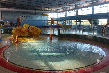 Duck Pool