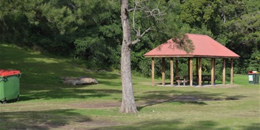 Putney Park