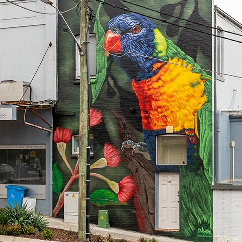 lorikeet west ryde mural