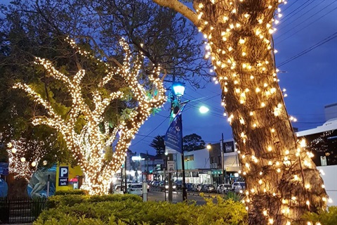 Streetside trees covered in lighting