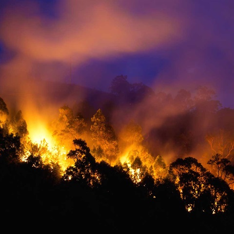 Bushfire