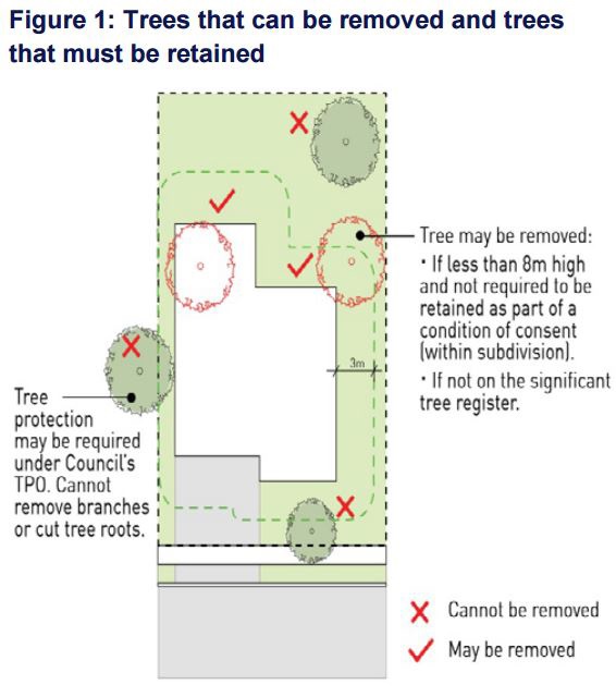 Figure showing trees that can be removed and trees that must be retained