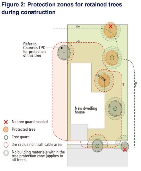 Figure showing protection zones for retained trees during construction