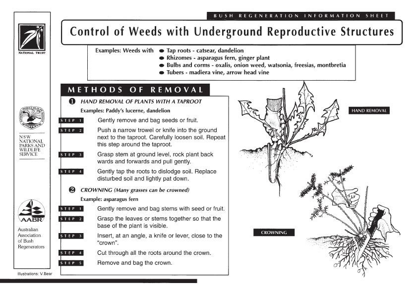 Instructions on controlling weeds with underground reproductive structures