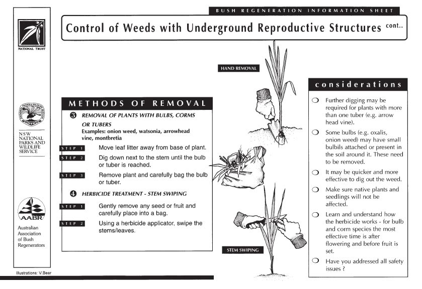 Instructions on controlling weeds with underground reproductive structures