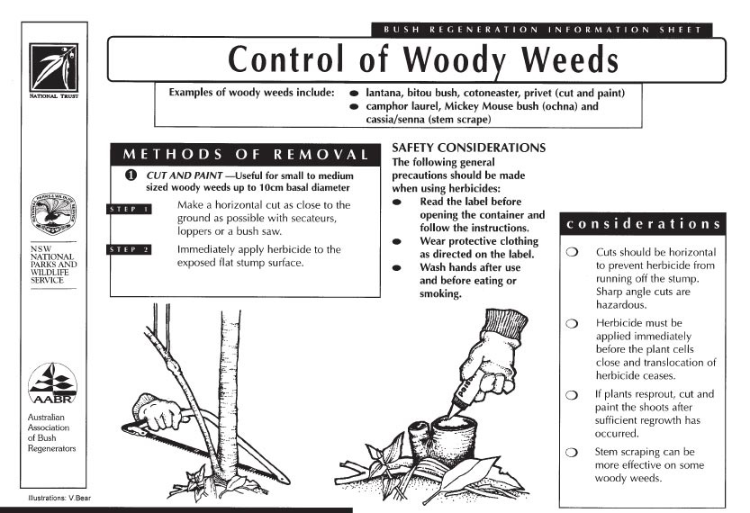 Instructions on controlling woody weeds