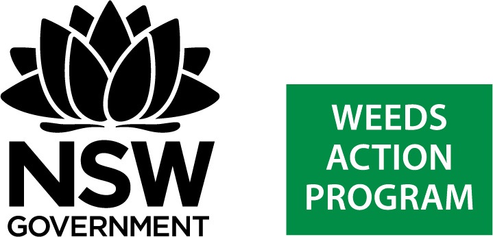 NSW Government logo