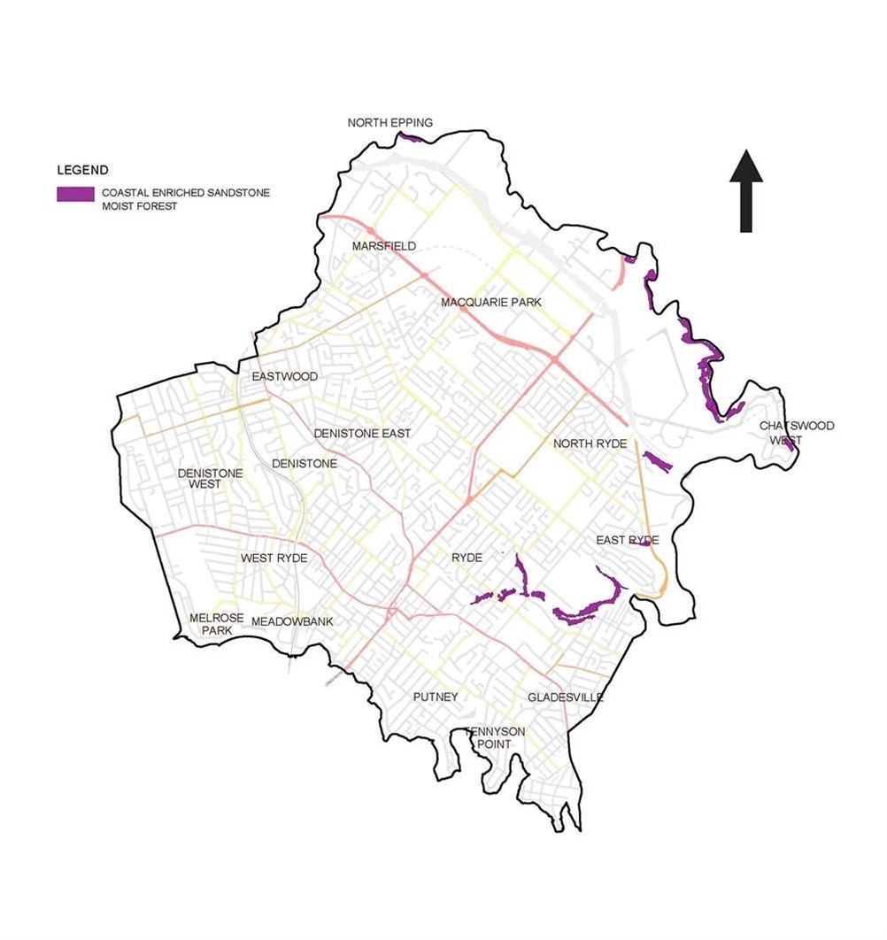 Coastal enriched sandstone moist forest map