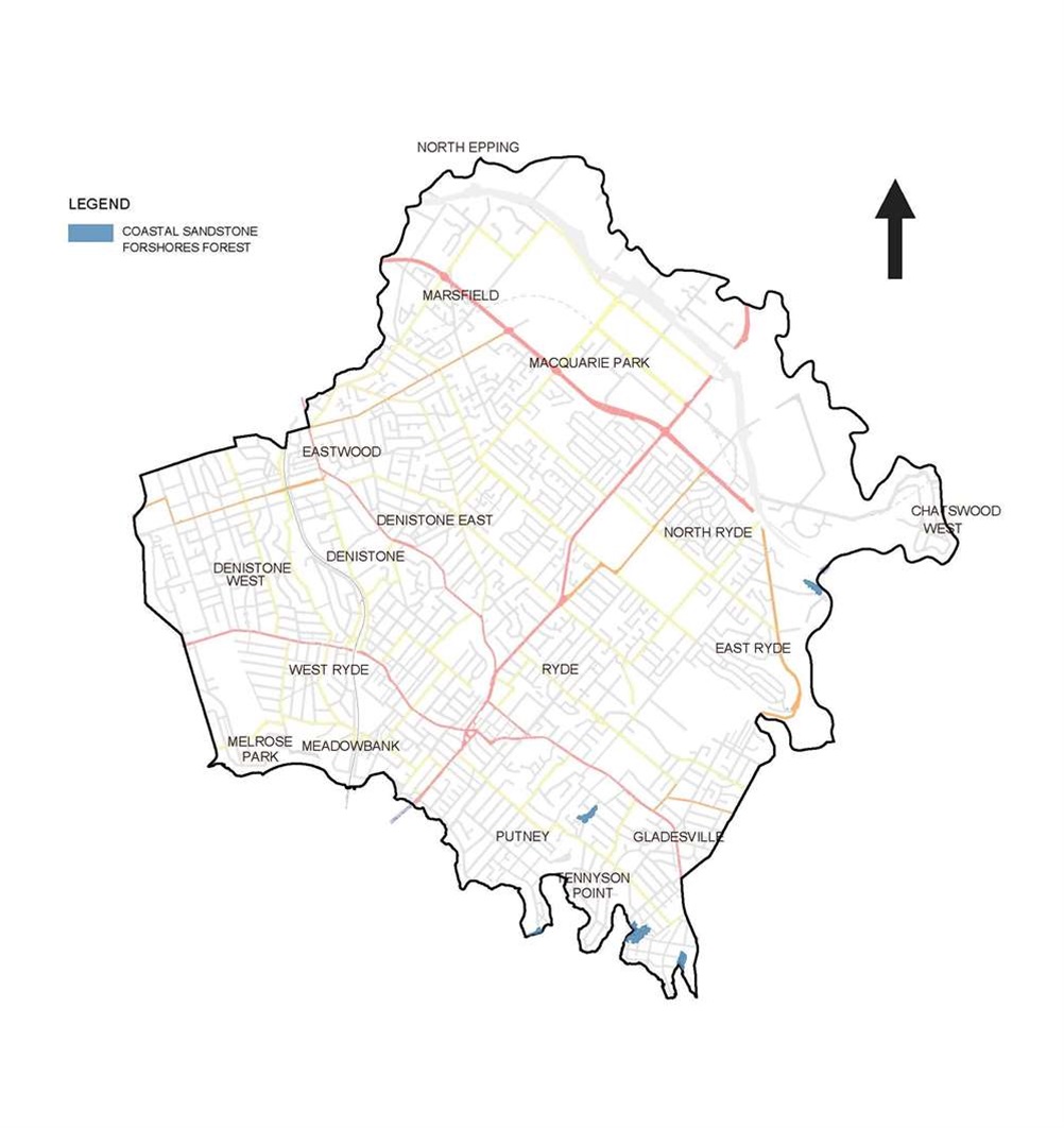 Coastal sandstone foreshores forest map