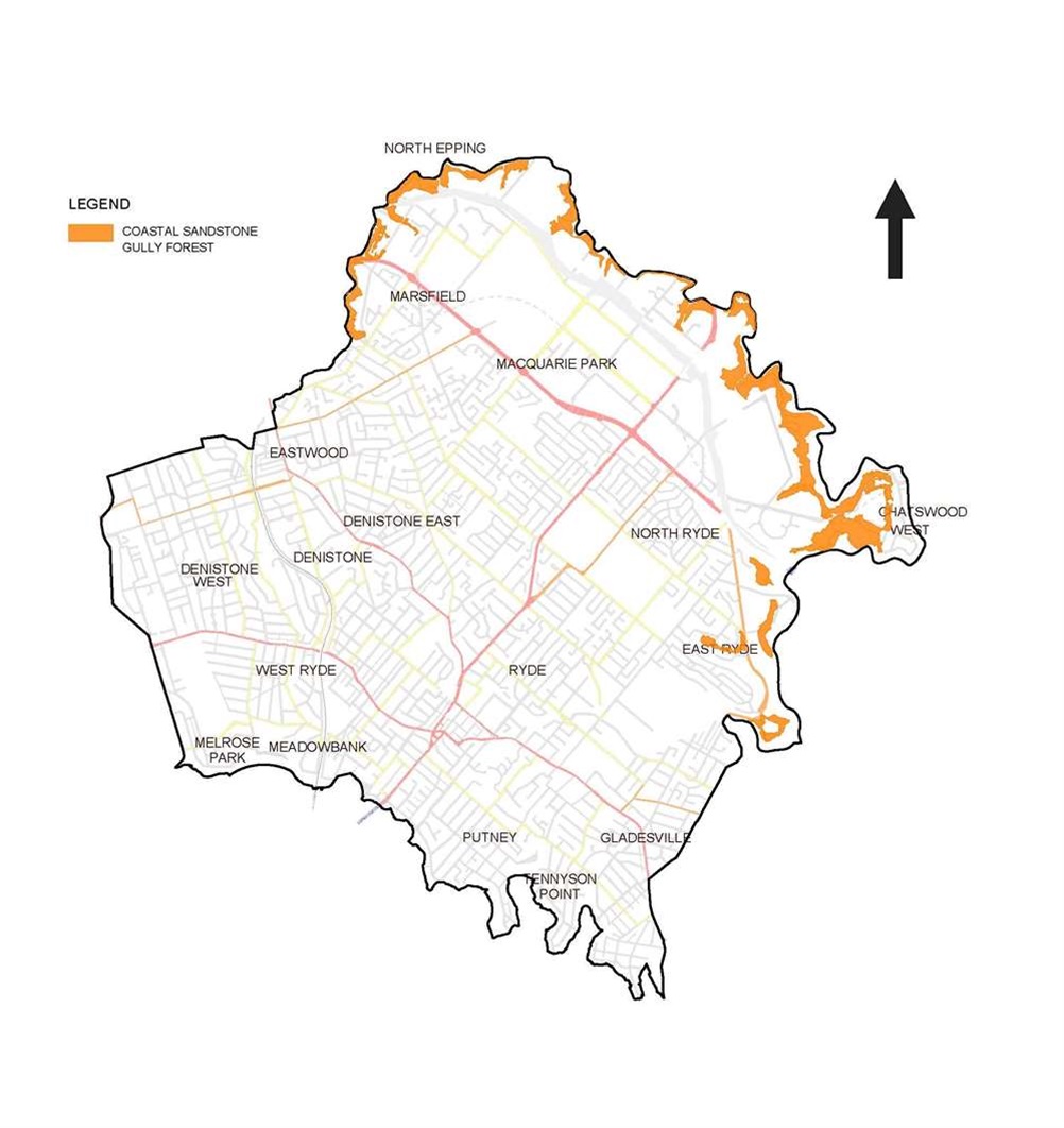Coastal sandstone gully forest map