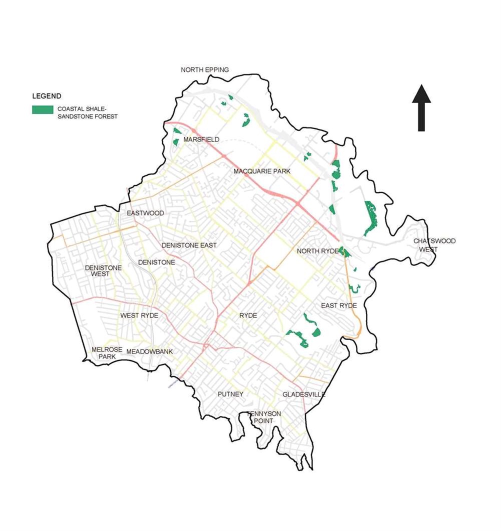 Coastal shale sandstone forest map