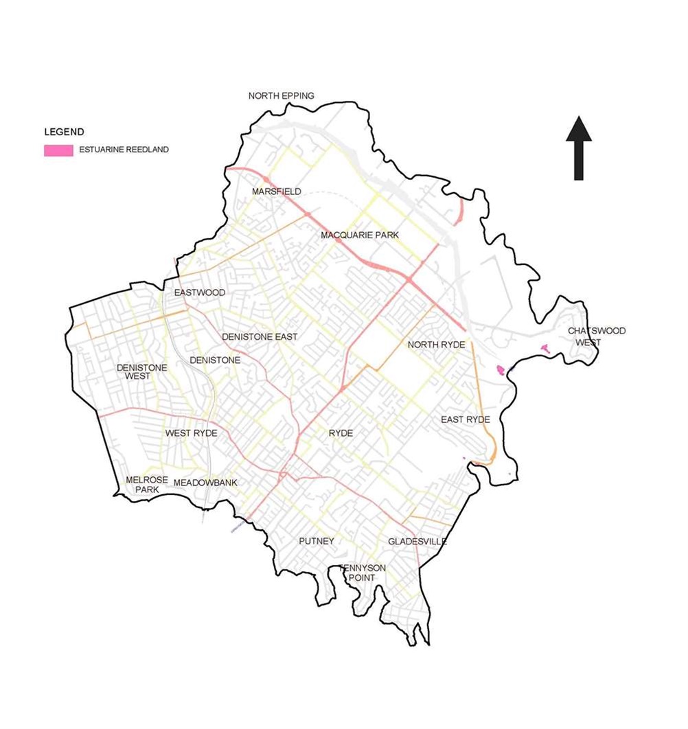 Estuarine Reedland map