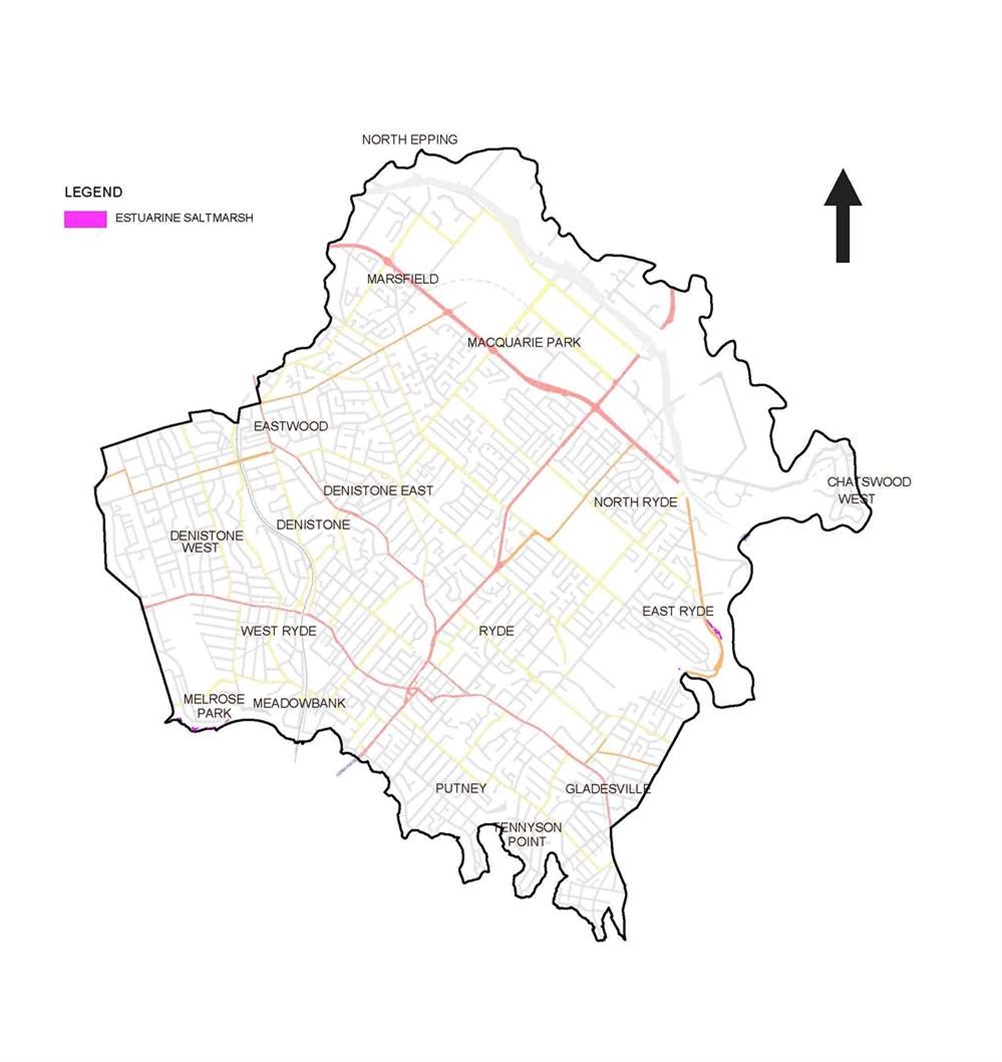 Estuarine Saltmarsh map