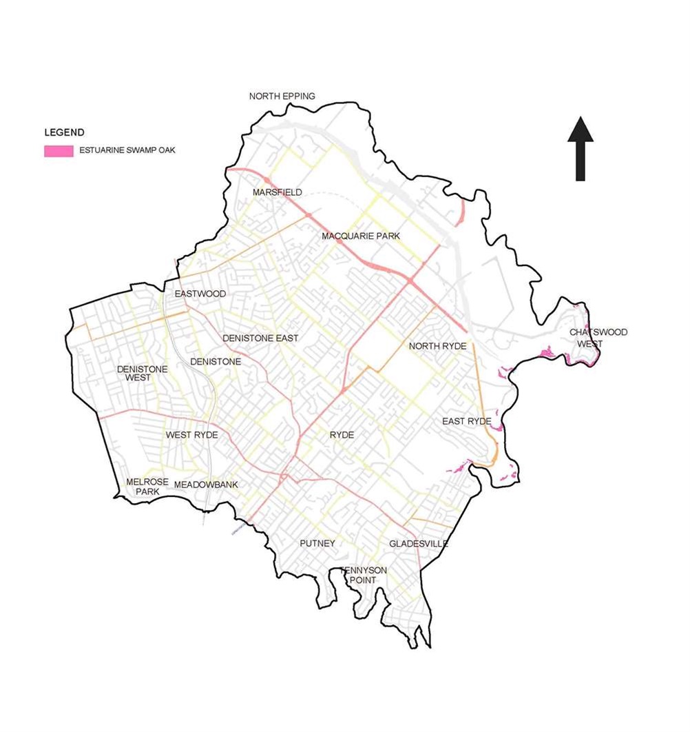 Estuarine swamp oak map