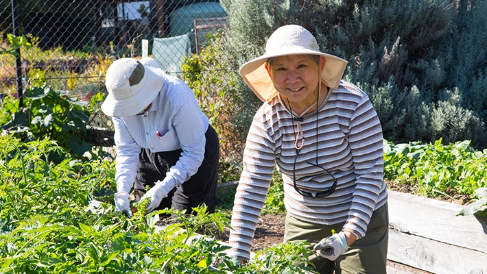 Woman in garden looking up at camera smiling
