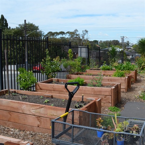 West Ryde Public School Edible Garden