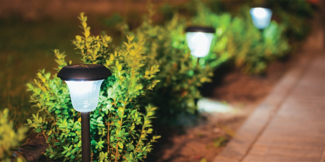 Solar lights in the garden