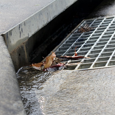 Image of leaves gathered at a stormwater drain