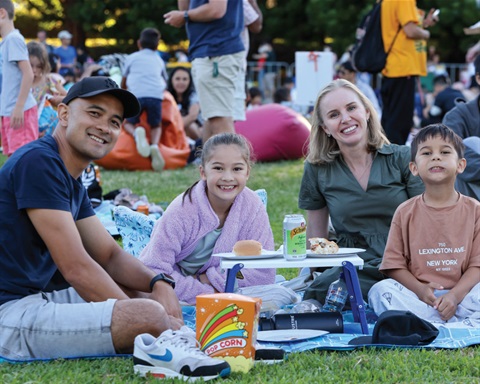 Cinema in the Park