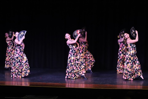 Group of female dancers performing synchronised dance moves on stage