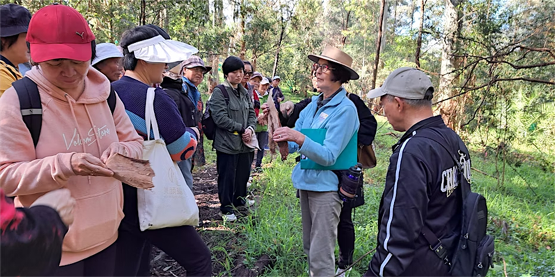 People on a bushwalk