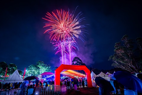 Fireworks at the Lunar New Year