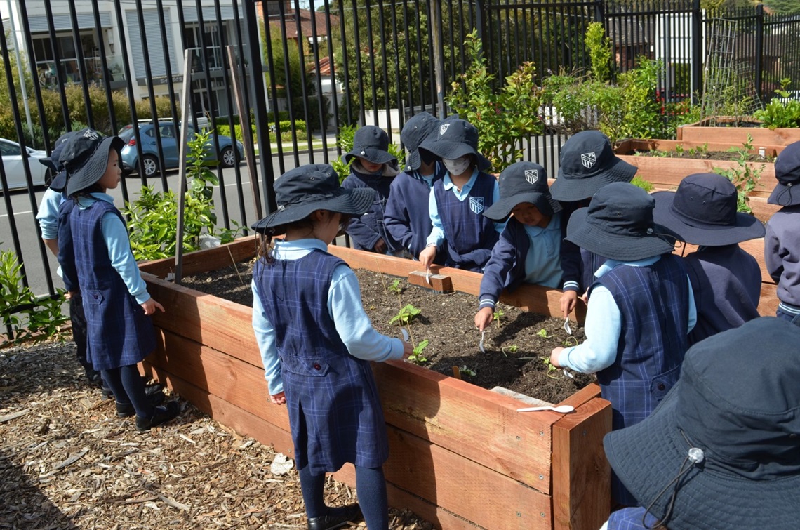 2nd-Place-West-Ryde-Public-School-Local-School-Garden-1.jpg