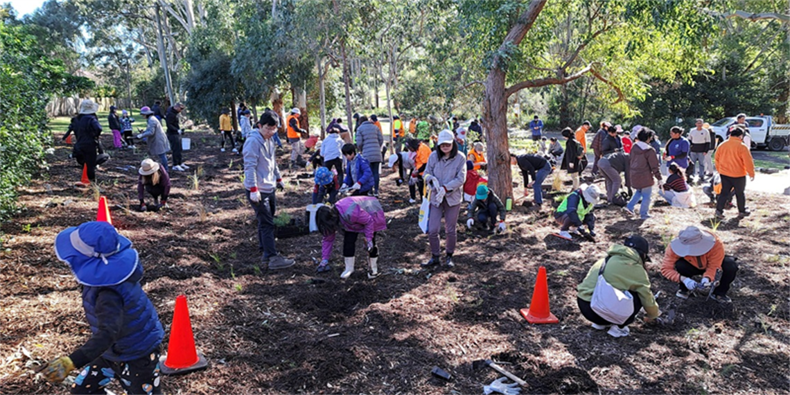 Groups of people work outside planting trees and seeds