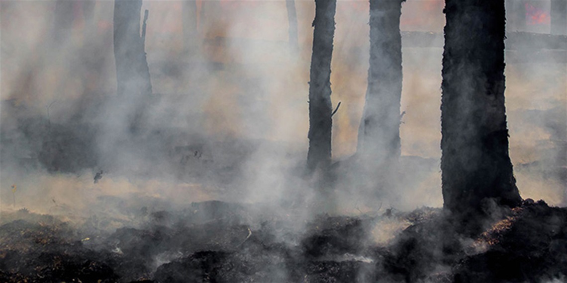 202201-HYS-MREC-Draft-Bushfire-Risk-Management-Plan.jpg