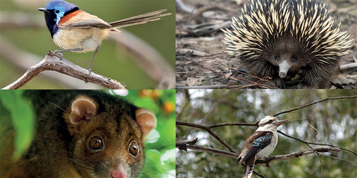 201812-HYS-MREC-Wildlife-Protection-Areas-in-CoR.jpg