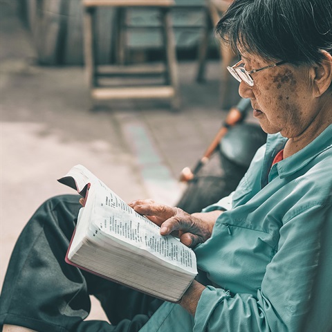 Woman reading book