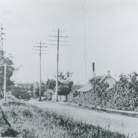 An old dirt road, lined by trees and grass, and two tall electricity poles