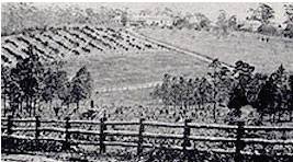 Looking across Eastwood Estate towards Eastwood House around 1880