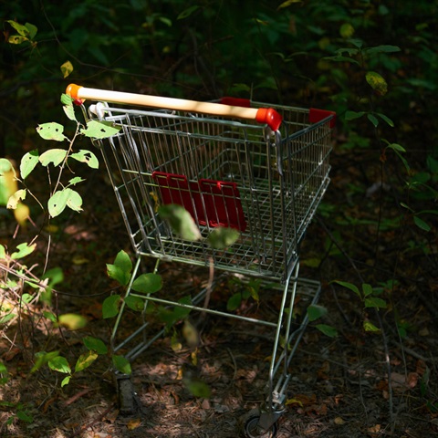 Abandoned-Trolly_SQ.jpg