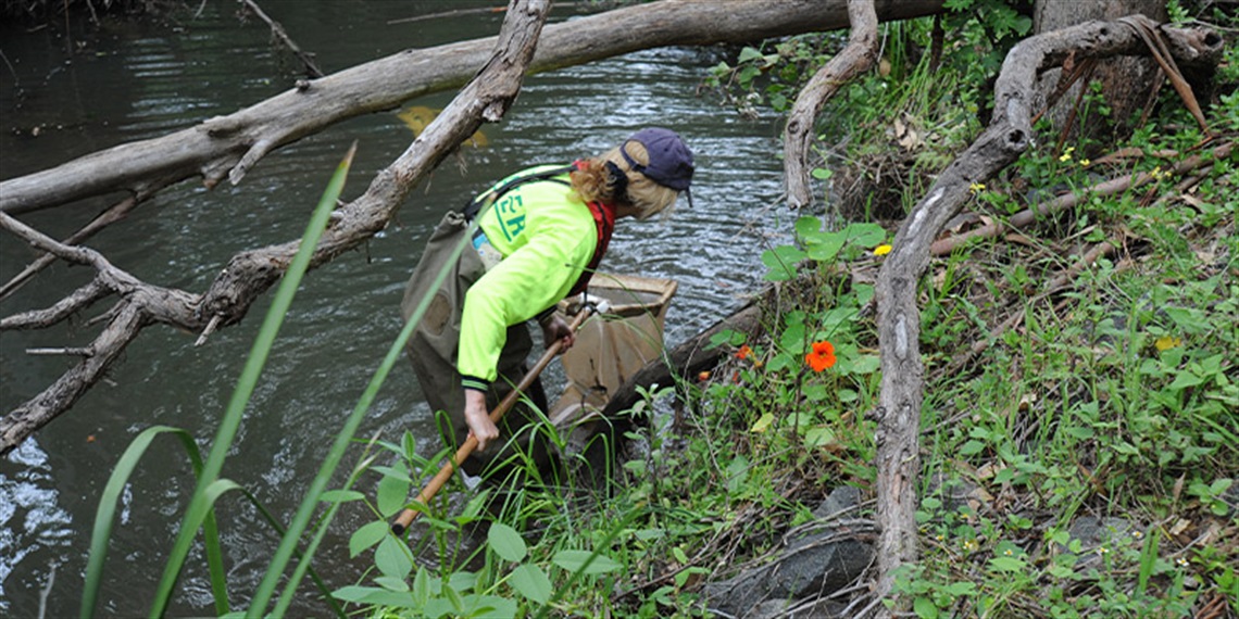 A person collecting specimens for investigation