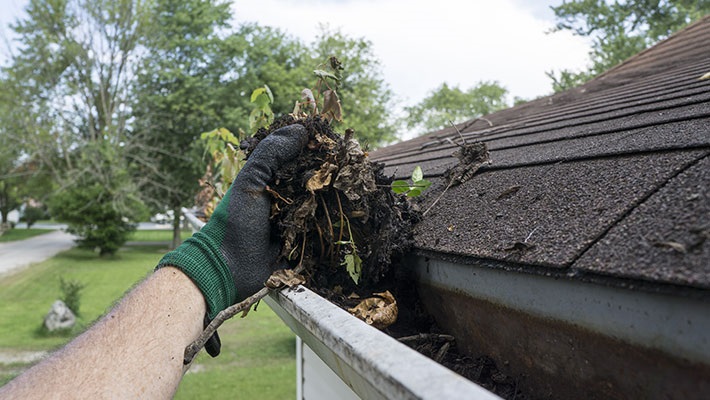 gutter-cleaning_mrec.jpg