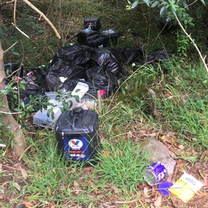 Photo of illegally dumped items
