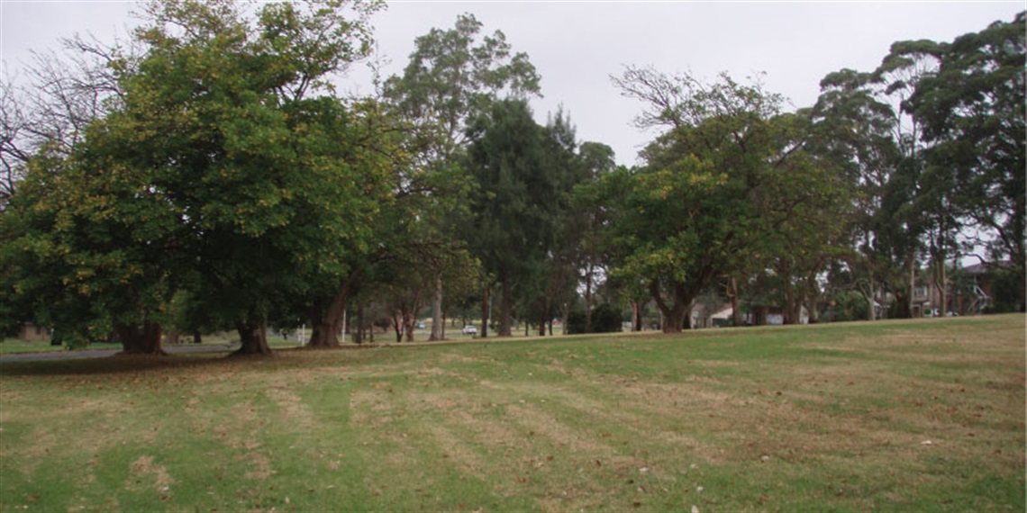 North Ryde Common