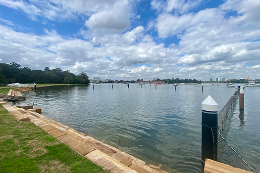 Putney Park Swim Site 2025